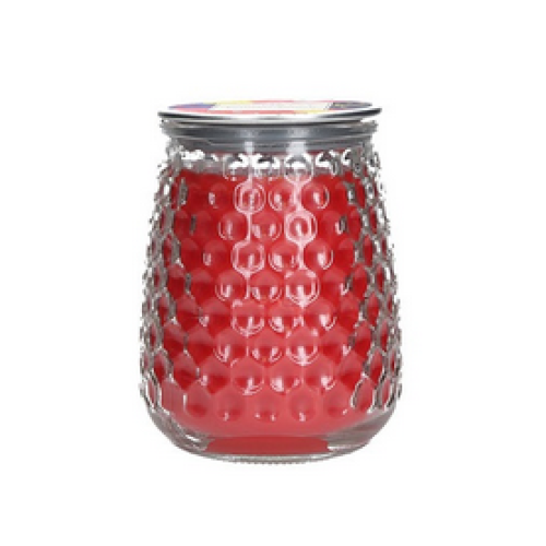 Greenleaf Primary Punch Signature large scented Candle