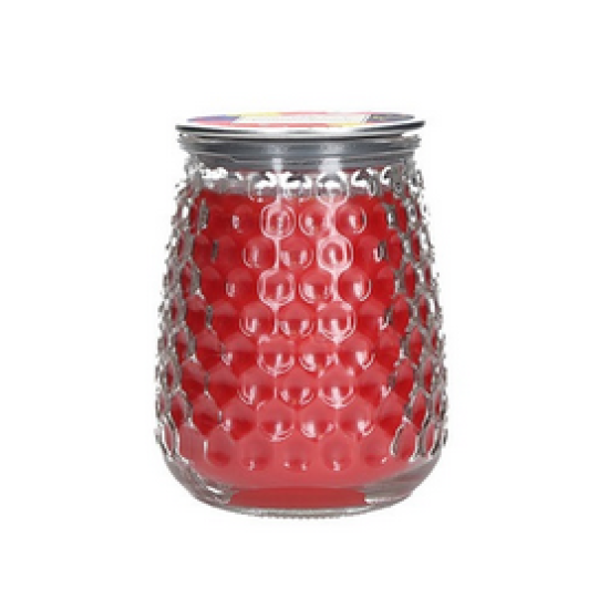 Greenleaf Primary Punch Signature large scented Candle